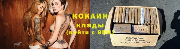 прущие грибы Аркадак