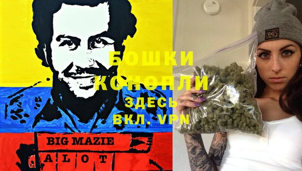 spice Алексеевка