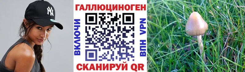 Галлюциногенные грибы ЛСД  Фролово 