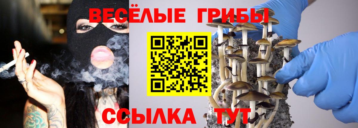 купить  сайты  Псилоцибиновые грибы Magic Shrooms  Вход с VPN  Фролово 